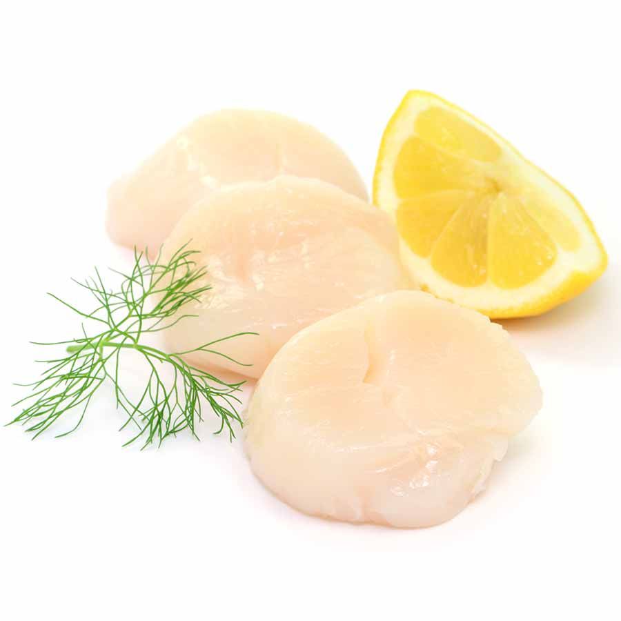 Jacobsmuschelfleisch (Scallops) ohne Rogen, 10/20 (= 22-44 Stück/kg),800g 2