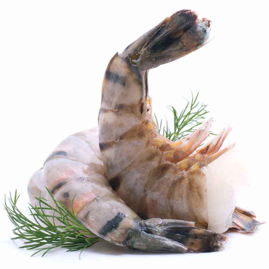 Riesengarnelen / Rosenberg Prawn (roh) o. Kopf, m. Schale, JUMBO XXL u5, 1 kg 2