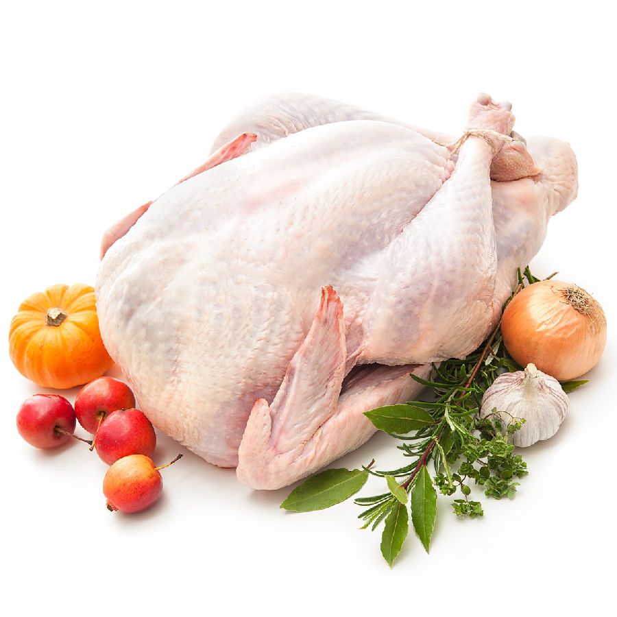 Truthahn / Thanksgiving Turkey / Putenbraten 3200-8000g